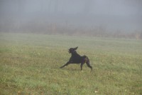 /album/odchovanci/gita-a-deti-009-jpg/